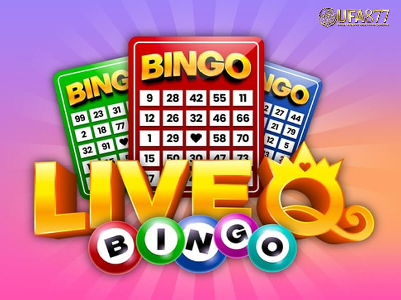 Live Bingo